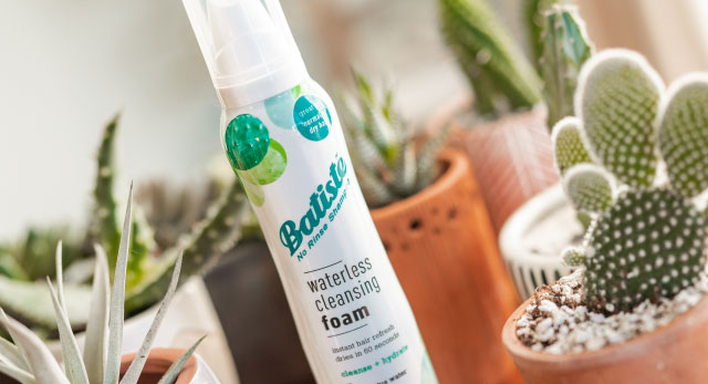 Waterless Cleansing Foam Dry Shampoo With Cactus Water